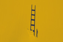 ladder and man 