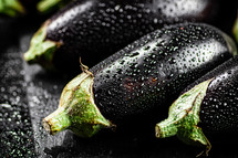 Fresh homemade eggplant on the table. On a wooden background. High quality photo