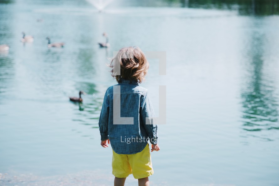 a toddler boy and ducks on a pond 