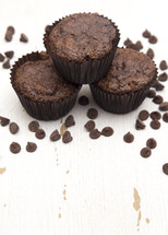 whole Wheat Double Chocolate Chip Muffins