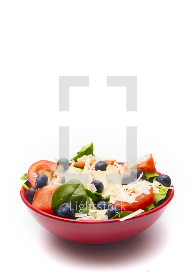 Fresh Salad with Chicken, Tomatoes Blueberries and Parmesan Cheese