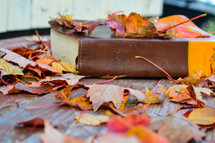 Closed Bible, Picnic Bench and Autumn