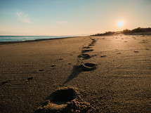 footprints on the beach at sunrise
