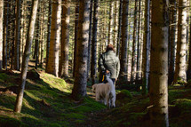 walking a dog in a forest 