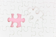 missing puzzle piece found 