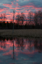 Sunset over a placid pond and bare trees.