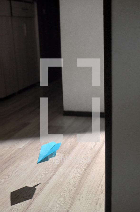 Conceptual Paper plane and Shadow Fly inside of House