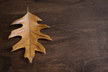 single brown leaf on wood background 