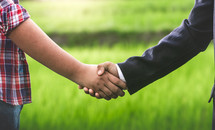businessman and farmer shaking hands