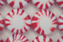 Close-up of peppermint candies.