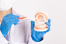 dentist demonstrating teeth brushing 