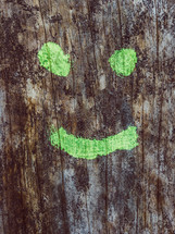 smiley face painting onto a tree