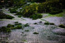 worn path on a mountainside 