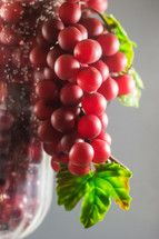 grapes in a vase 