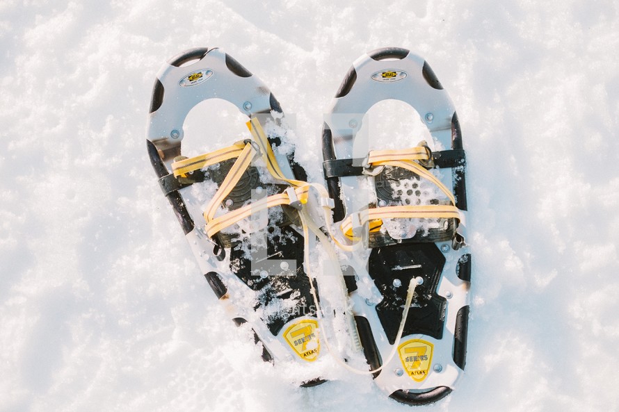 Snowshoes in the snow.