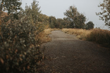 gravel path through fall landscape 