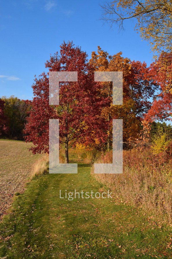 Bright autumn colors fill the landscape with vibrant red and orange foliage against a clear blue sky. A grassy path winds through the middle