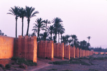 palm trees and retaining wall 