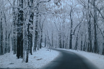 snow in a forest and road 