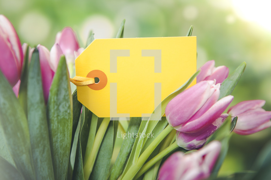 blank gift tag on bouquet of tulips 