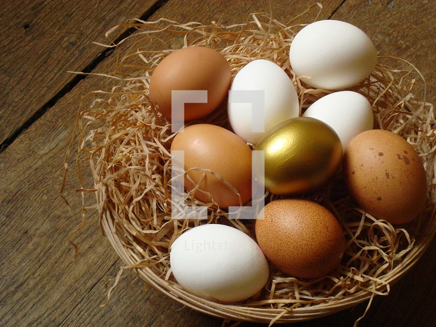 one golden egg in a basket of white and brown speckled eggs, sitting on a wooden surface
