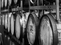 aging wine barrels 
