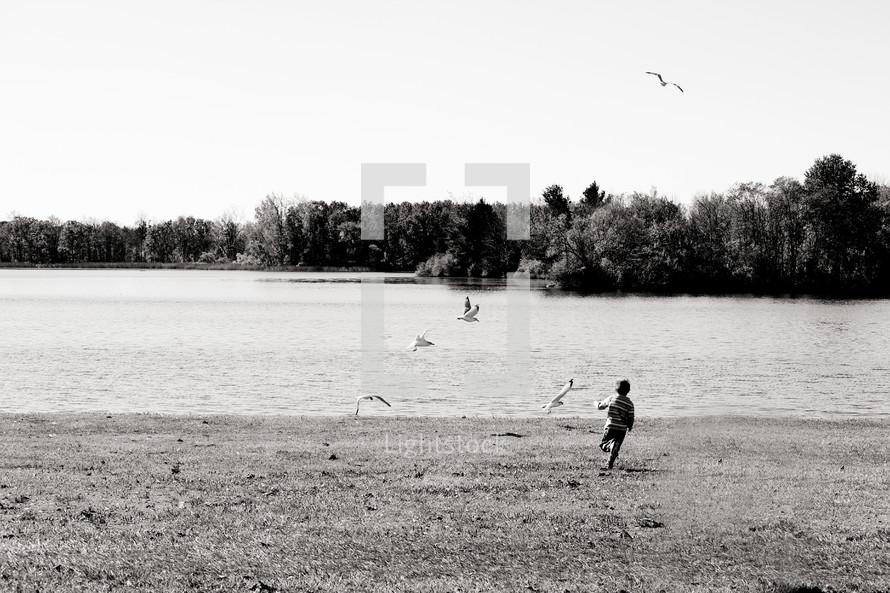 a boy child chasing birds on a lake shore 