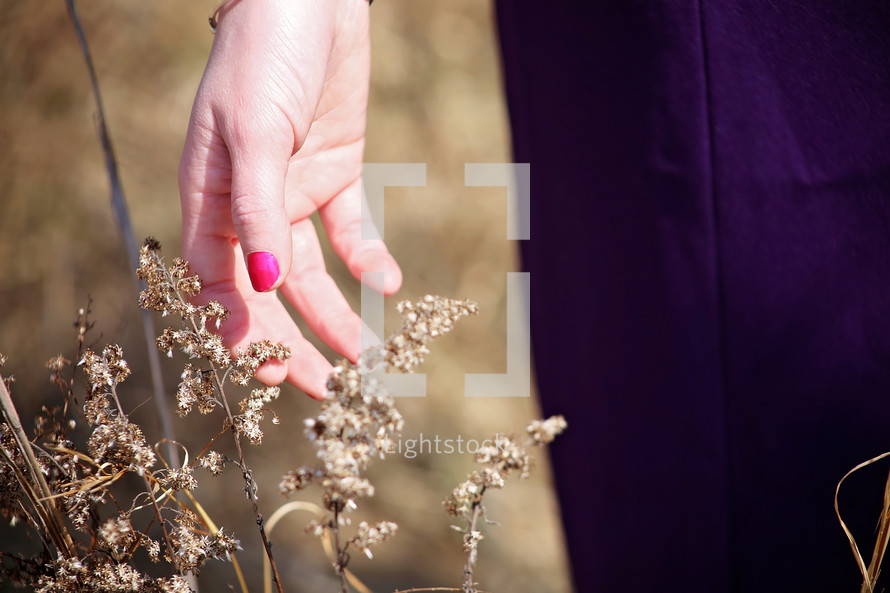 a woman's hand touching plants in a field 