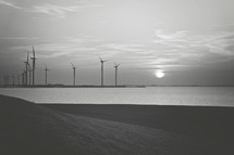 wind turbines on a coast at sunset 