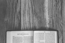 Bible opened to Revelations 