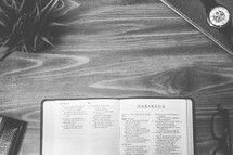 Habakkuk, open Bible, Bible, pages, reading glasses, wood table 