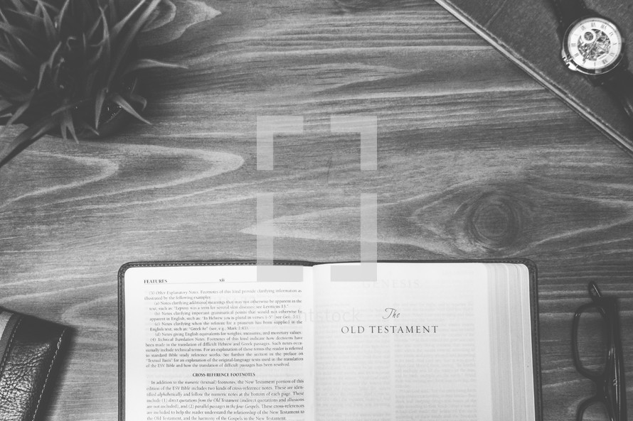 The Old testament, open Bible, Bible, pages, reading glasses, wood table 