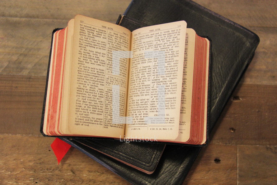 open Bible and journal 