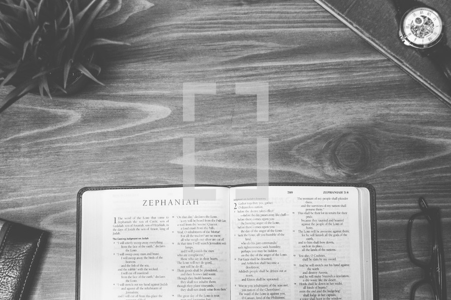 Zephaniah, open Bible, Bible, pages, reading glasses, wood table 