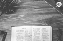Micah, open Bible, Bible, pages, reading glasses, wood table 