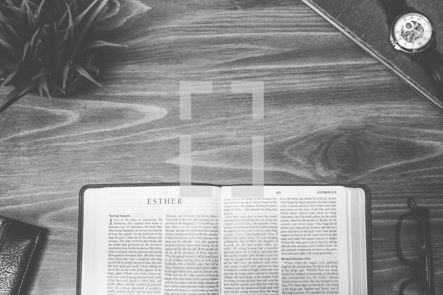Esther, open Bible, Bible, pages, reading glasses, wood table 