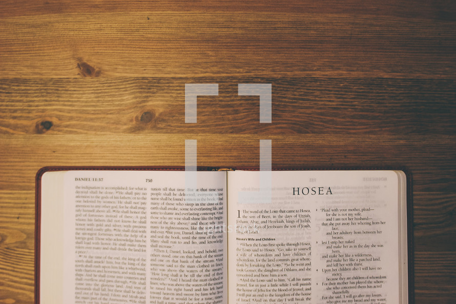 Bible on a wooden table open to the book of Hosea.