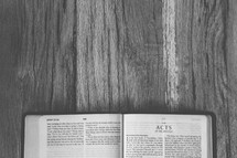 Bible opened to Acts