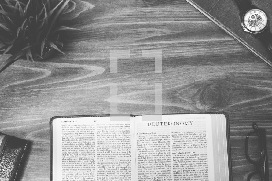 Deuteronomy, open Bible, Bible, pages, reading glasses, wood table 