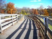 Fence-lined path with shadow and fall foliage.
