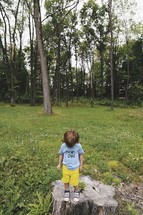 a toddler boy standing on a stump looking down at the ground 