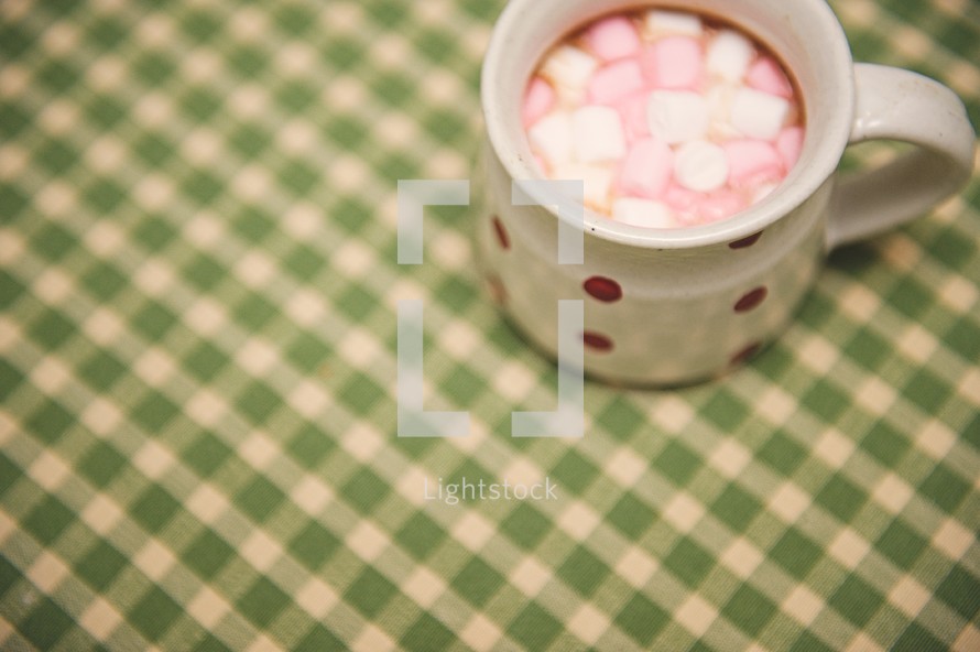marshmallows in hot chocolate 