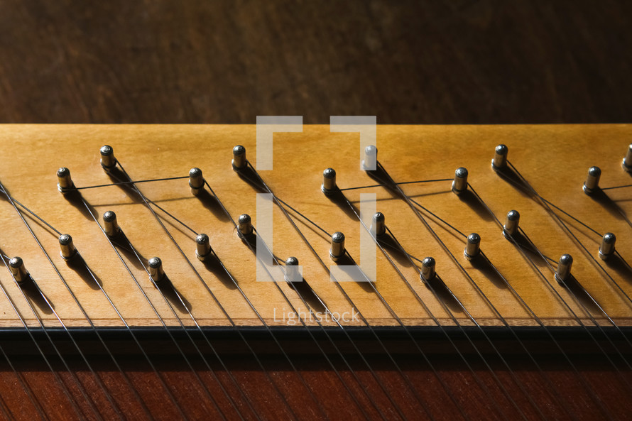pegs on a stringed instrument 