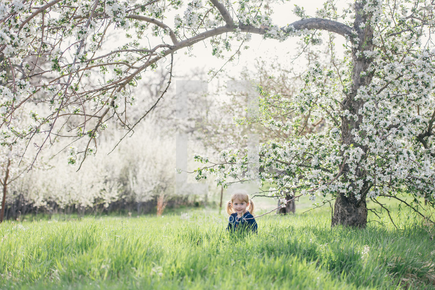 child standing under a spring tree 