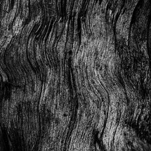 Minimal black texture background wood