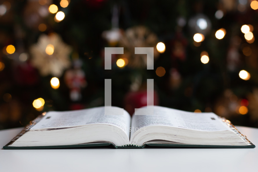 open Bible and bokeh Christmas lights on a Christmas tree 