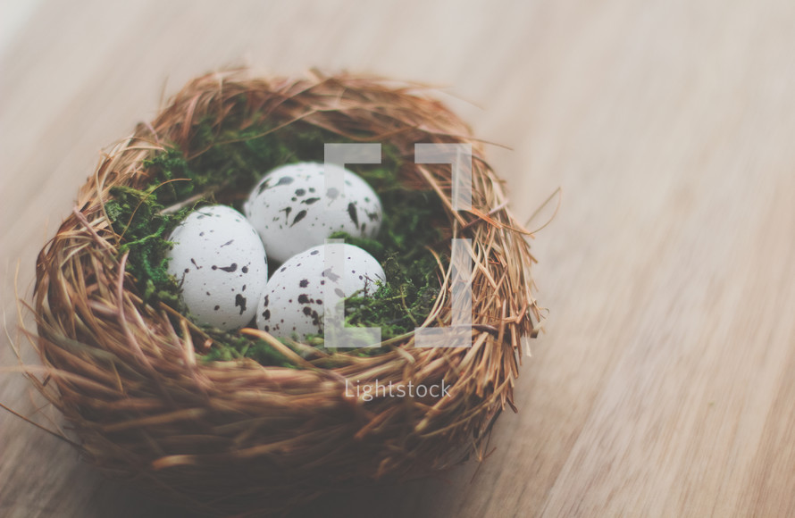 bird's eggs in a nest on a table 