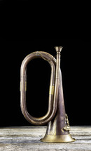 old brass bugle 