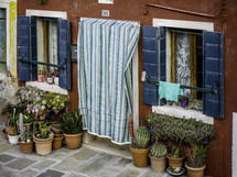 Potted plants outside of red home with shutters