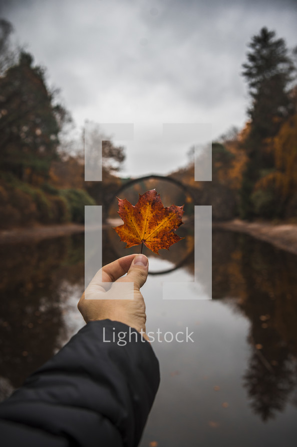 circular bridge and person holding up a fall leaf 